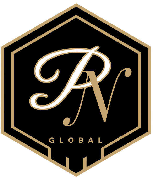 PN Global Logo